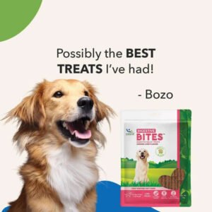 Natural Digestive Bites for Dogs – Gut Health Soft Chews - Image 4