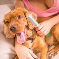 BASIL Flea Comb for Dogs & Cats – Fine Tooth Metal Comb, Tick & Flea Removal Tool, De-Shedding & Hygiene Comb for All Breeds - Image 4