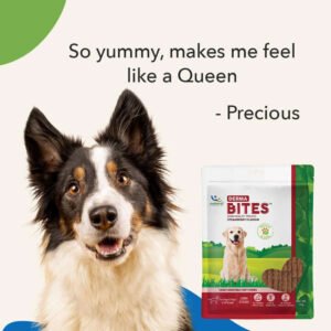 Natural Derma Bites for Dogs – Skin & Coat Support Soft Chews - Image 4