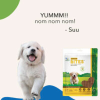 Natural Junior Bites for Puppies – Growth Support Soft Chews - Image 4