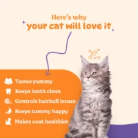 BASIL Purrfect Dental Stick for Cats & Kittens – Tuna & Cranberry Flavor, 44g, Oral Care Treats for Teeth Cleaning & Fresh Breath - Image 4