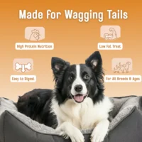 BASIL Classic Chicken Slices for Dogs – Natural Soft Jerky Treats, High Protein Tender Bites for Training & Reward - Image 4