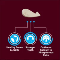 BASIL Calcium Bone Treats for Dogs & Puppies – 100g, Chewy Nutritional Snacks for Strong Bones, Teeth Support & Daily Reward - Image 4