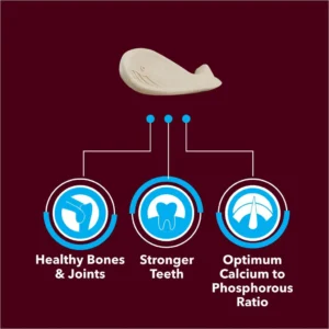 BASIL Calcium Bone Treats for Dogs & Puppies – 100g, Chewy Nutritional Snacks for Strong Bones, Teeth Support & Daily Reward - Image 4