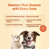 Orthoron Joint Support Tablet for Dogs & Cats – Turmacin-Based Supplement for Mobility, Stiffness & Cartilage Health (28 Tablets) - Image 4