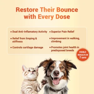 Orthoron Joint Support Tablet for Dogs & Cats – Turmacin-Based Supplement for Mobility, Stiffness & Cartilage Health (28 Tablets) - Image 4