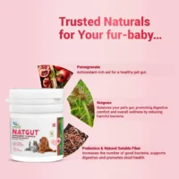 Natgut Natural Digestive Supplement for Dogs & Cats – Herbal Probiotic Tablet for Diarrhea, Loose Stools & Gut Health (20 Tablets) - Image 4