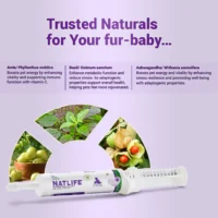 Natlife Natural Energy & Immunity Booster Paste for Dogs & Cats – Ashwagandha, Amla & Tulsi Recovery Supplement for Dull & Sick Pets (30ml) - Image 4