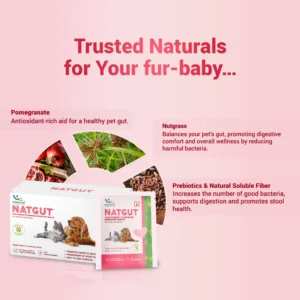 Natgut Natural Digestive Supplement for Dogs & Cats – Herbal Gut Health Granules for Diarrhea Relief & Gut Immunity (30 Sachets) - Image 4