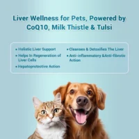 HepNSure Natural Liver Care Tablet for Dogs & Cats – Advanced Hepatoprotective Supplement with CoQ10, Milk Thistle, Licorice & Tulsi (24 Tablets) - Image 4