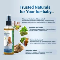 Reliflam Itch Relief Spray for Dogs & Cats – 75ml - Image 4