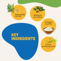 Natural Mobility Bites for Dogs – Joint Support Soft Chews - Image 4