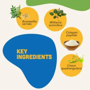 Natural Mobility Bites for Dogs – Joint Support Soft Chews - Image 4