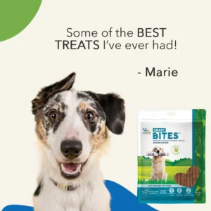 Natural Smart Bites for Dogs – Brain Health Soft Chews