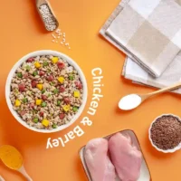 Homiee & Ginger Power Bowl Chicken & Barley Dog Food – Fresh Balanced Meal 200g