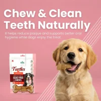 BASIL Turtle Peanut Butter Treats for Dogs & Puppies – 94g, Guilt-Free Chewy Snacks for Training, Reward & Interactive Chewing - Image 5