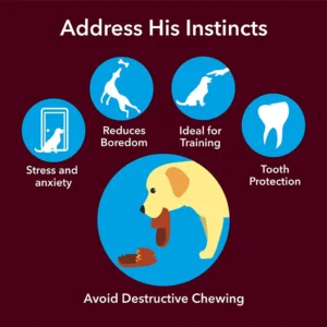 BASIL Calcium Bone Treats for Dogs & Puppies – 100g, Chewy Nutritional Snacks for Strong Bones, Teeth Support & Daily Reward - Image 5