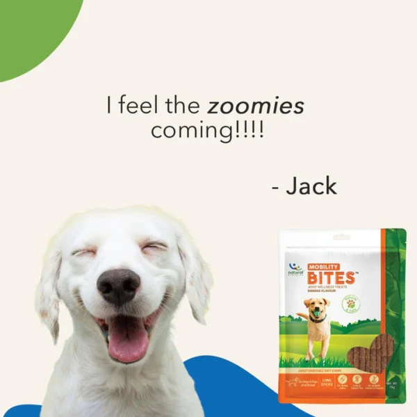 Natural Mobility Bites for Dogs – Joint Support Soft Chews
