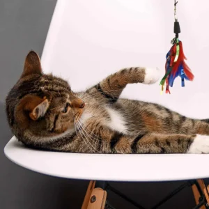 BASIL Cat Teaser Stick with Feather and Bell – Interactive Wand Toy, Natural Feather Lure, Bell Attachment, Indoor Play & Exercise Toy for Cats - Image 6