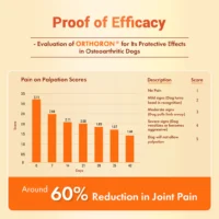 Orthoron Plus Paste for Dogs & Cats – Advanced Triple-Action Joint Care with Turmacin, PEA & Type II Collagen (60ml)