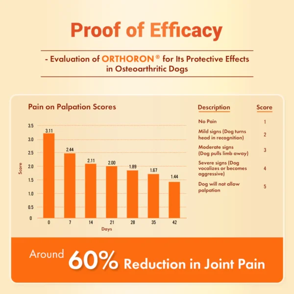 Orthoron Plus Paste for Dogs & Cats – Advanced Triple-Action Joint Care with Turmacin, PEA & Type II Collagen (60ml)