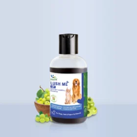 90 ML