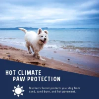 BASIL Softy Paw Butter for Dogs & Cats – 50g Moisturizing Paw & Nose Balm, Shea Butter & Vitamin E Formula for Dry, Cracked Skin - Image 6