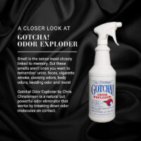 Chris Christensen Gotcha! Odor Exploder Dog Shampoo – Deep Odour Removal, Deodorizing Clean & Coat Freshness for Strong Smells - Image 3