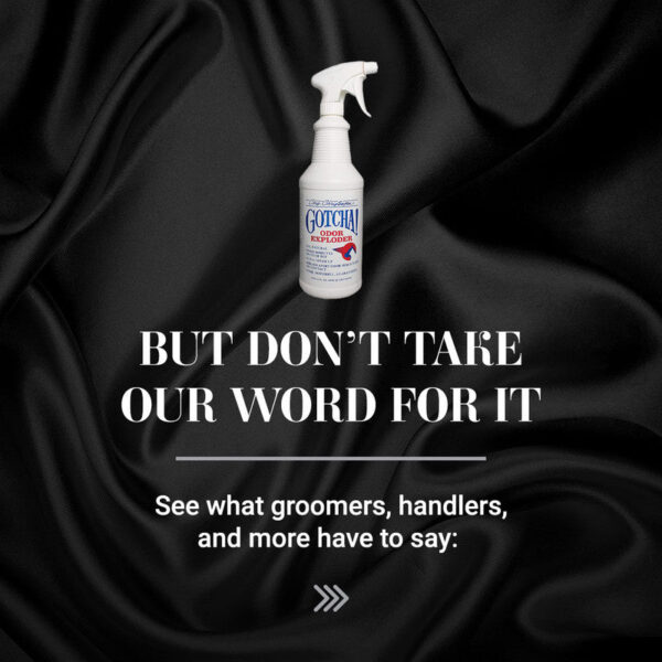 Chris Christensen Gotcha! Odor Exploder Dog Shampoo – Deep Odour Removal, Deodorizing Clean & Coat Freshness for Strong Smells