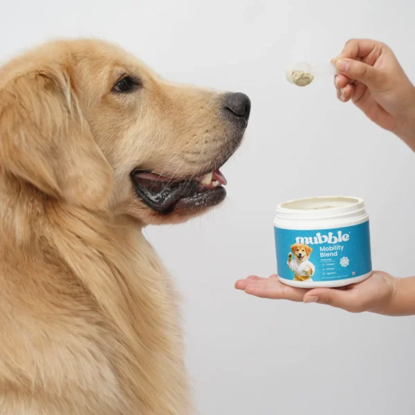 Mubble Mobility Blend for Dogs – Joint Support Nutrition Topper, Mobility & Flexibility Care for Active and Aging Dogs