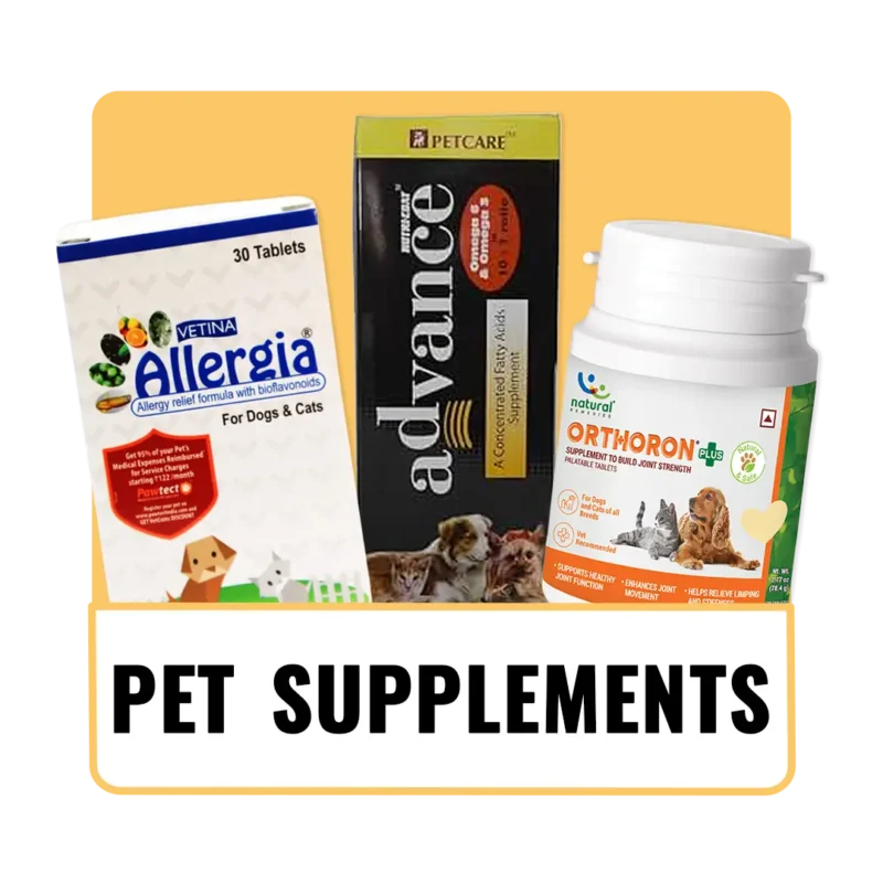 The_Pet_Being_Category (10)