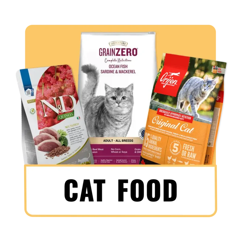 The_Pet_Being_Category (2)