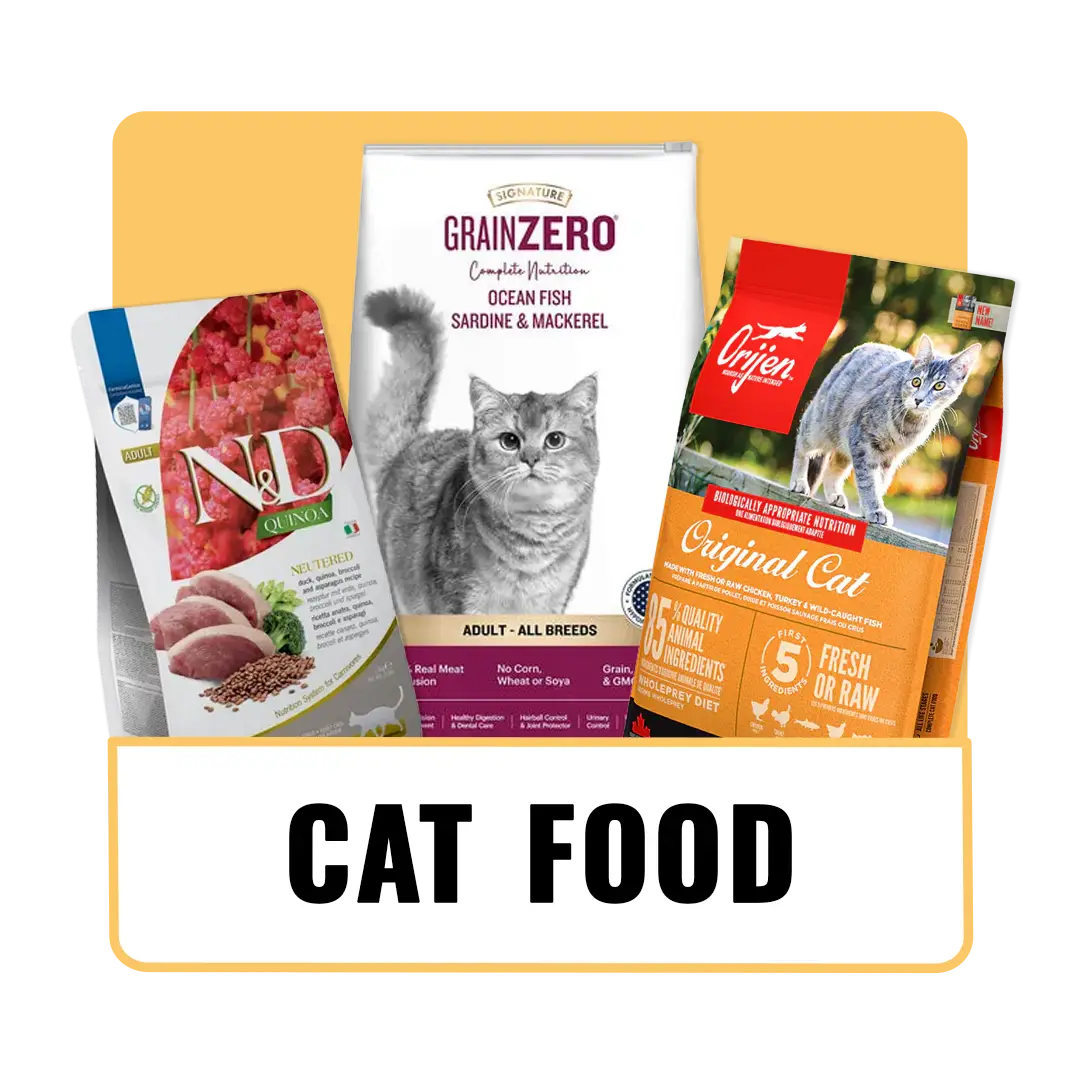 The_Pet_Being_Category (2)