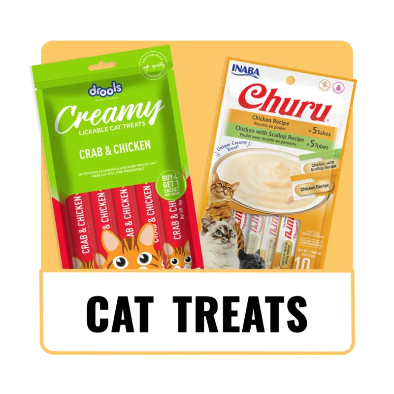 The_Pet_Being_Category (3)