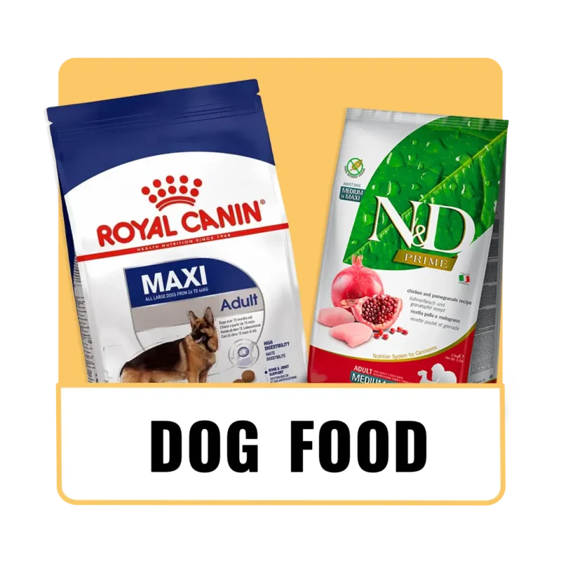 The_Pet_Being_Category (4)