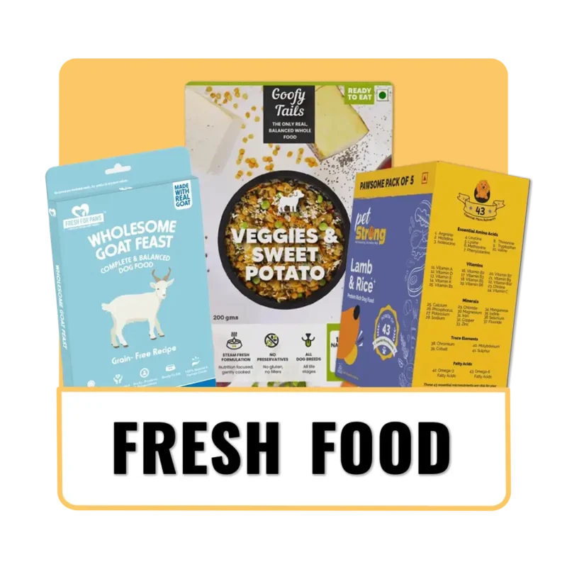 The_Pet_Being_Category (6)