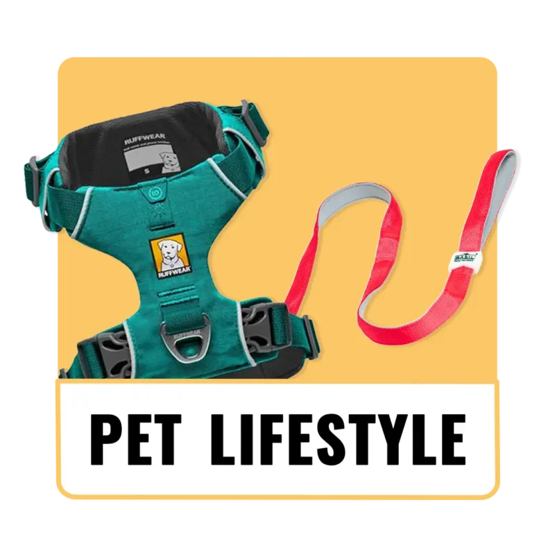 The_Pet_Being_Category (8)