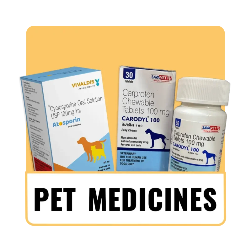 The_Pet_Being_Category (9)