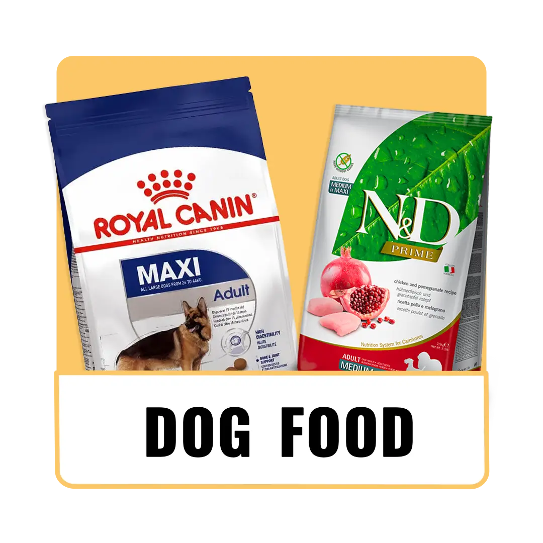 Dog_Food_The_Pet_Being