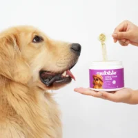 Mubble Shiny Coat Blend for Dogs – Skin & Coat Nutrition Topper, Omega Support & Shine Enhancement for All Breeds