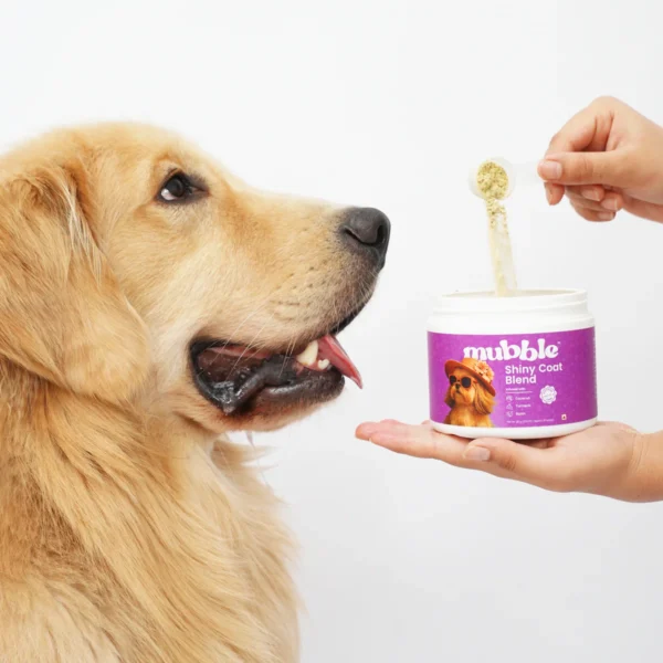 Mubble Shiny Coat Blend for Dogs – Skin & Coat Nutrition Topper, Omega Support & Shine Enhancement for All Breeds