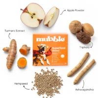 Mubble Superfood Blend for Dogs – Daily Nutrition Topper, Immunity Support & Gut Health Boost for All Breeds - Image 4
