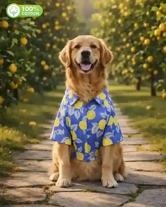 15 Furries Royal Blue Lemon Cotton Dog Shirt 15 Furries Royal Blue Lemon Cotton Dog Shirt