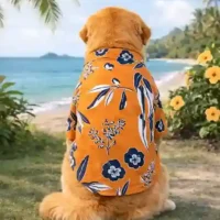 15 Furries Rust Orange Floral Cotton Dog Shirt