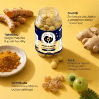 Jump-O-Joint Tablets for Dogs & Cats – Joint Support 60 Tablets - Image 2