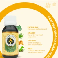 Fev Pet Syrup for Dogs & Cats – Fever & Cold Support 60ml - Image 5