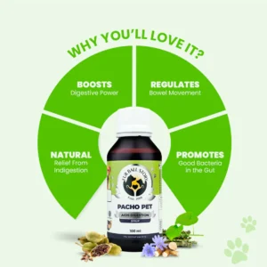 Pacho Pet Digestive Syrup for Dogs & Cats – Stomach Support 100ml - Image 6