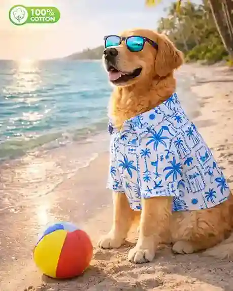 15 Furries Tropical Blue Postcard Cotton Dog Shirt
