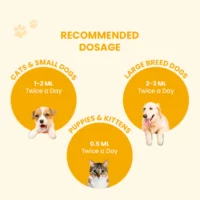 Fev Pet Syrup for Dogs & Cats – Fever & Cold Support 60ml - Image 3