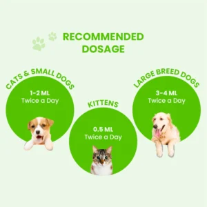 Pacho Pet Digestive Syrup for Dogs & Cats – Stomach Support 100ml - Image 3